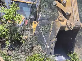 Manavgat’ta zeytinlik yangında 100 ağaç zarar gördü
