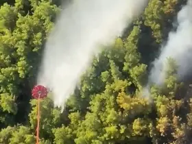 Manavgat’taki orman yangını  kontrol altına alındı
