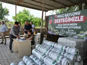 Manisa Büyükşehir’den çilek üreticilerine malç naylonu desteği
