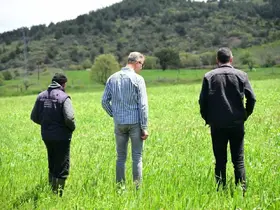 Manisa Büyükşehir’in toprakla buluşan tohumları yeşerdi

