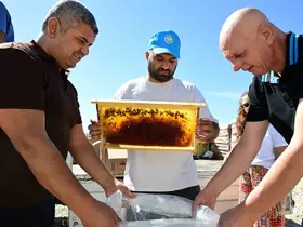 Manisa’da arıcıların peteklerine eksi 30 derecelik koruma
