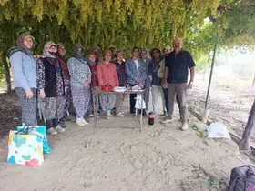 Manisa’da çiftçiden tarım işçisine üzüm bağında doğum günü sürprizi
