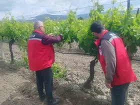 Manisa’da tarım denetimleri hız kesmiyor
