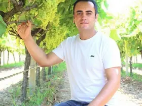 Manisa’da üzüm için "Altın Model"
