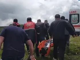 Mantar toplarken ayı saldırısına uğradı
