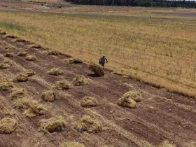 Mardin’de çiftçilerin yoğun mesaisi başladı
