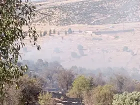 Mardin’de çıkan orman yangını söndürüldü
