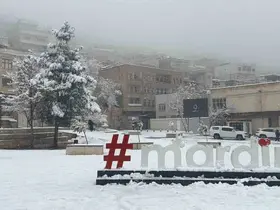 Mardin’de kar yağışı etkili oluyor
