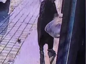 Markete bırakılan ekmek ve simit dolu poşeti çaldı
