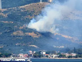 Marmara Adası’nda orman yangını başladı
