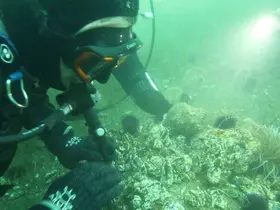 Marmara Denizi’ne kıyı kentlerin Belediye Başkanlarına dalış çağrı
