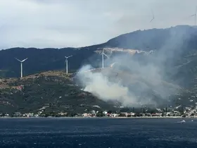 Marmara’da orman yangınına neden olan şüpheli gözaltına alındı
