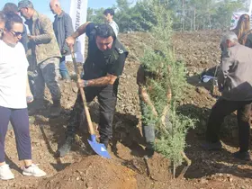 Marmaris, ‘Milli ağaçlandırma ‘gününde 3 bin fidanı toprakla buluşturdu
