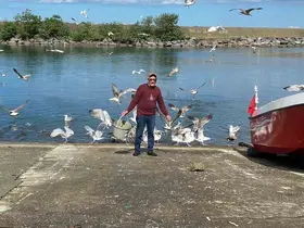 Martılarla kurduğu bağ görenleri şaşırtıyor
