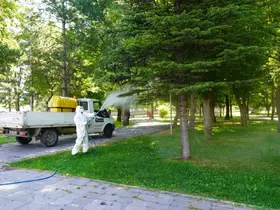 Melikgazi’de 58 mahallede ilaçlama çalışmaları devam ediyor
