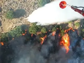 Menemen’deki yangın kontrol altında

