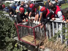 Menfezde mahsur kalan köpeği Başkan Bahadır kurtardı
