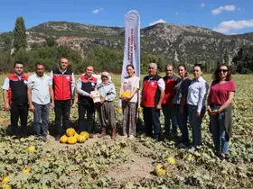 Menteşe Karabağlar yaylasında asırlık lezzetin hasat zamanı
