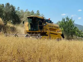 Menteşe’de biçerdöverlere sıkı denetim

