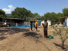 Menteşe’de evin bahçesinde ot yangını paniğe neden oldu
