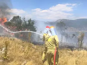 Menteşe’de makilik yangını

