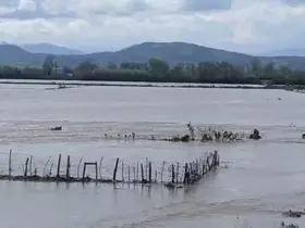 Meriç Nehri taştı, sular yollara ulaştı
