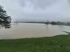 Meriç Nehri’nden taşan sular yaşam alanlarına kadar ulaştı
