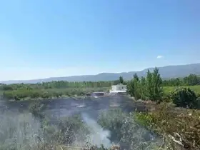 Mersin Mut’ta yangın: 15 dönüm bahçe zarar gördü
