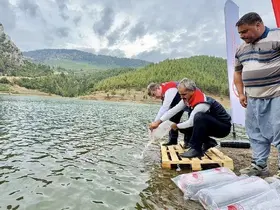 Mersin’de 17 göl ve gölete 347 bin yavru sazan bırakıldı
