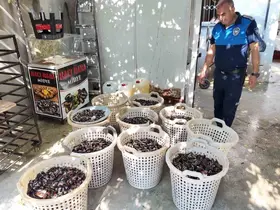Mersin’de 200 kilo bozuk midye dolması ele geçirildi
