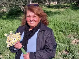 Mersin’de baharı yaşatan nergis çiçekleri gelir kaynağı oldu
