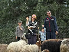 Mersin’de bir koyun alamayan aile sürü sahibi oldu
