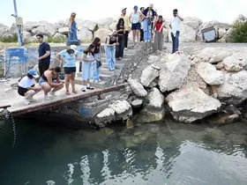 Mersin’de biyolojik çeşitlilik MINKA ile kayıt altına alınıyor
