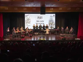 Mersin’de Türk Sanat Müziği ‘Fasl-ı Konser’le buluştu
