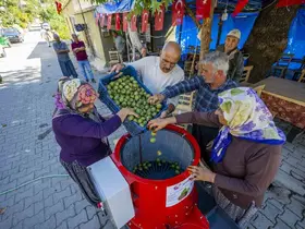 Mersin’de üreticiye ceviz soyma makinesi desteği
