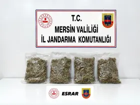 Mersin’de uyuşturucu operasyonu: 2 gözaltı
