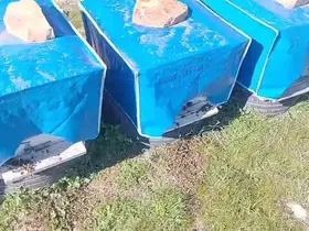 Mersin’de zamansız zirai ilaçlama arıların ölümüne sebep oldu
