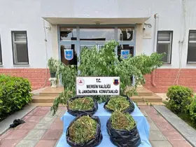 Mersin’de zehir tacirlerine darbe
