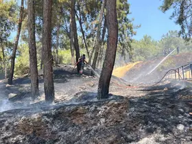 Mesire alanındaki yangın kısa sürede söndürüldü
