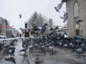 Meteorolojiden çığ, don ve buzlanma uyarısı
