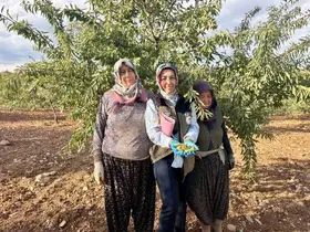 Meyve bahçelerinde ürün verimliliği için kontroller sürüyor
