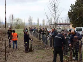 Meyve fidanı satışı 30 Mart’ta yapılacak
