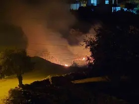 Milas’ta çıkan sazlık yangını hızlı müdahaleyle kontrol altına alındı
