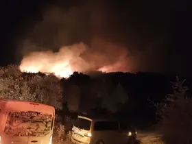 Milas’ta orman yangını
