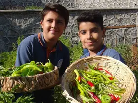 Minik eller, turşuyla büyük işlere imza atıyor
