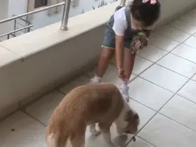 Minik Gökçe’den örnek davranış
