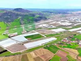 Modern tarımın yeni adresi Bafra: Karadeniz’de başarı hikayesi yazılıyor
