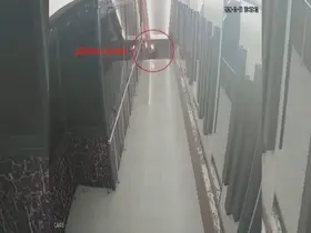Molotoflu saldırı kamerada, suç örgütü özel harekât baskınıyla yakalandılar
