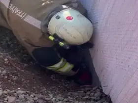 Moloz yığını altında kalan yavru kedi kurtarıldı
