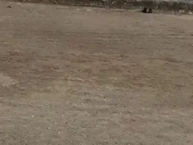 Mudanya sahilinde oltaya takılan martıyı vatandaş kurtardı

